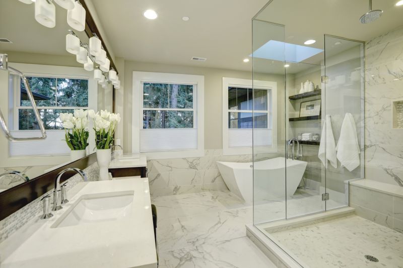 Elegant Shower and Tub Areas